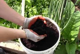 This is true of using coffee grounds in your vegetable garden. 7 Uses For Coffee Grounds On Plants In The Garden