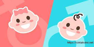 cin takvimi 2021 cinsiyet hesaplama cintakvimi net 2021 cin cinsiyet bebek cinsiyeti