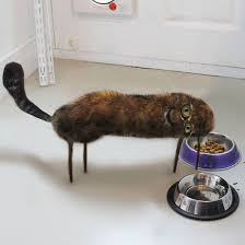 The Best Thing You Ll See Today Animal Drawings Drawing For Kids Animals For Kids