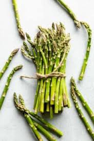 Image result for Asparagus nodulosus