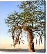 Buy university of south alabama canvas prints designed by millions of independent artists from all over the world. South Alabama Spring Photograph By Jc Findley