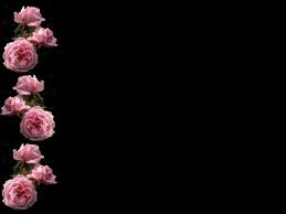 It gives a room a sense of nostalgia, as if they were looking into a classic 1930s movie. Iphone H King Background Dark Pink Rose Wallpaper