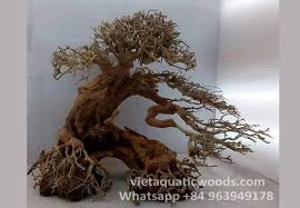 Bonsai Driftwood From Thanh Tung Thinh Company Limited