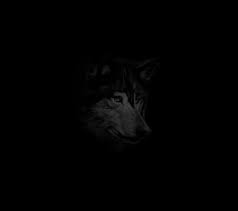 1024x819 wallpapers for > black wolf wallpaper hd. Hd Black Wolf Wallpapers Peakpx