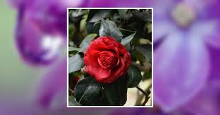 Wanda Jean Kiehl Obituary August 15, 2022