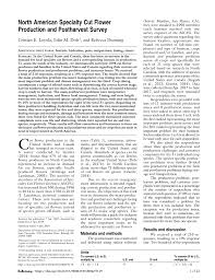 Café au small flowers summer flowers cut flowers flowers in hair wedding flowers flower farmer cut. Pdf North American Specialty Cut Flower Production And Postharvest Survey