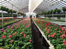 10 mi 25 mi 50 mi 100 mi 200 mi 500 mi. About Us Hewitt S Garden Centers