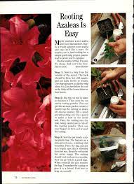 Pin By Lorena Cornell On Home And Garden Ideas Propagating Plants Azaleas Backyard Fun