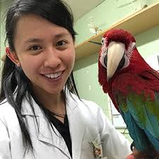 Call us to book an appointment today! Beecroft Birds Exotics Veterinary Clinic Singapore Singapore Contact Phone Address