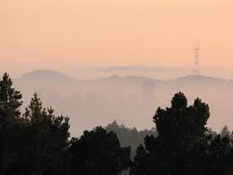 Ocha tea cafe & restaurant. Tilden Regional Park Running