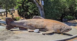Woodside's great outdoors beckon to a thriving outdoor and equestrian community and include the purisima creek redwoods open space preserve, wunderlich park, and skeggs point, a magnet for mountain bikers. Bear Creek San Francisquito Creek Nebenfluss Gaz Wiki