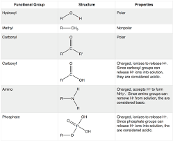 8 Functional Groups Biology Libretexts