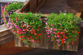 Blumenkasten wmt alle blumenkasten auch mit passender blumenkasten auf fensterbrett anbringen (pflanzen, heimwe. Balkonkasten Halterung Selber Bauen So Wird S Gemacht