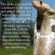 Pin By Jennifer Pope On Spirit Animals Etc Snake Spirit Animal Spirit Animal Totem Spirit Animal Meaning