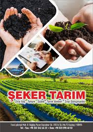 Tarim Seker Tarim Gubre Tohum Tarim