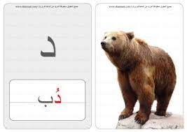 حرف كلمة صورة بطاقات الحروف والحيوانات 8 Brown Bear Animals Bear