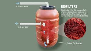Backyard Aquaponics View Topic Bio Filter Selection