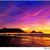 Tmnp is rich in floral biodiversity and is part of the cape floral kingdom world heritage site; Https Encrypted Tbn0 Gstatic Com Images Q Tbn And9gcsqmhzvdgqocg314y4 Rjnnxzmafr7ryup9iw4ul4is3dsxxr6g Usqp Cau