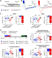 01 rw 02 desa pasir kecamatan ayah kabupaten kebumen tahun 2014 pendidik jabatan rt alama no. Dyshomeostatic Modulation Of Ca2 Activated K Channels In A Human Neuronal Model Of Kcnq2 Encephalopathy Elife
