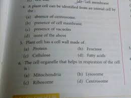 Animal cell wall made of. Dy Cell Membrane A Plant Cell Can Be Identified From An Animal Cell By The A Absence Of Centrosome B Presence Of Cell Membrane C Presence Of Vacuoles D None Of The