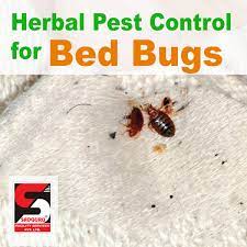 Valid at participating trugreen locations. Herbal Pest Control Services In Mumbai Sadguru Facility