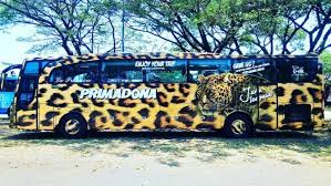 Seperti salah satu angkutan umum antar kota ini, yakni bus primajasa. Profil Po Primadona Makassar Toraja