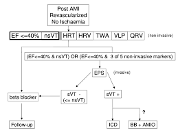 Flow Chart Showing The Proposed Two Step Risk Stratification
