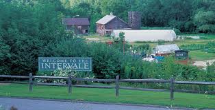 Services container gardens gift certificates consultations landscape. Our Backyard The Intervale Will Raap Gardener S Supply