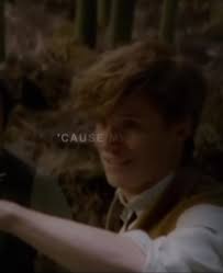 My fantastic beasts dr is one of my favourite drs ever i love it so much  and Newt is so precious my favourite Hufflepuff fr the love of my life 🫶🏼  #fantasticbeastsedit #fantasticbeastsdr ...