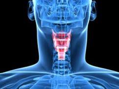Hypothyroidism, or underactive thyroid, is when the thyroid slows production of hormones needed for metabolism and energy. Hypothyroidie Certaines Personnes Pourraient Etre Diagnostiquees A Tort