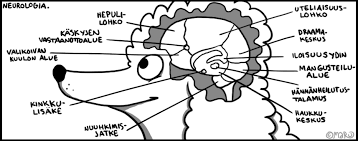 Puudelinurkka: Neurologia.