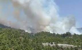 Check spelling or type a new query. Asi Se Ve El Incendio Forestal De Arico Desde El Sur De Tenerife Canarias7