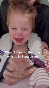 Violet Scout Sighting 2023