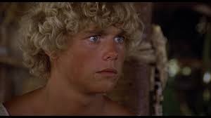 Image result for Lagoon Blue 1983 Kelvinator