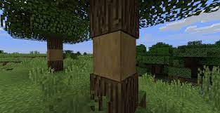 Using an axe on a log or stem turns it into a stripped log or a stripped stem, which act the same as regular logs. Stripped Logs Should Have Depth And Here S How They D Look Suggestions Minecraft Java Edition Minecraft Forum Minecraft Forum