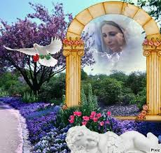 We believe there is an. Create Meme Imikimi Com Photoshop To Insert Pictures For Free Online Wallpapers Arch Terrace The Arch Mural With Peacocks Pictures Meme Arsenal Com