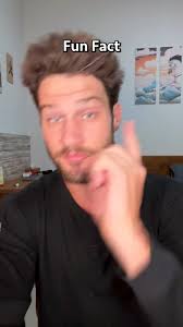 Cookie Monster Driving Incident: German Police Still Searching