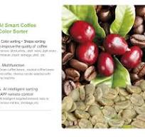 Coffee Bean Color Sorter–6SXZ-340 – colour sorting machine ...