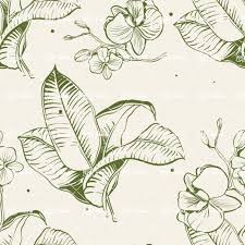 Collection by conniehola chen • last updated 2 hours ago. 90 Nature Themed Vector Graphics Bundle Seamless Hand Drawn Floral Pattern Graphicmama