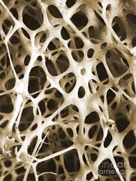 77 Natural Structures Ideas Wonders Of The World Beautiful Nature Beautiful Places