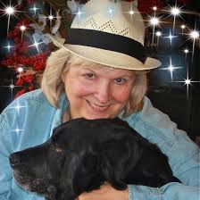 Terri Hill Photography