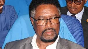 Somalia: Former minister elected as new parliament speaker
