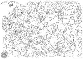 The coloring pages include pilgrim and native american boys and girls. British Wildlife Colouring Page The Barn Owl Trust