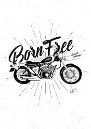 Born Free Suricato M A Yamaha Virago 250 Motorcycle Drawing Yamaha Virago Drawings