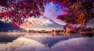 Japan images japan hd wallpaper and background photos. Japan 1080p 2k 4k 5k Hd Wallpapers Free Download Wallpaper Flare