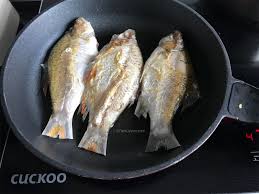 Ikan lampam jawa atau puntius gonionotus atau puntius javanicus memang dah terkenal dalam perairan negara kita. Resepi Ikan Lampam