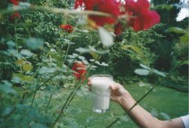 Drinking Milk In The Garden In 2020 Green Aesthetic Aesthetic Photography Aesthetic Pictures