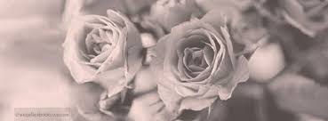 Black And White Facebook Cover Facebook Cover Vintage Roses Photo Background Flowers Black And White Jpg 851 315 Vintage Facebook Cover Facebook Cover Photos Flowers Facebook Cover Images
