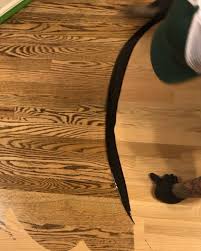 Hard Wax Oil On Red Oak Infinitywoodfloors Red Oak Red Oak Floors Wood Floors