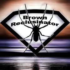 Brown Reclusinator Pest Control